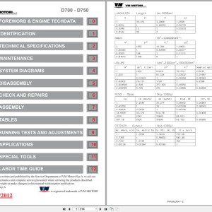 VM Motori D700-D750 Series D703L to D703TE0 Workshop Manual 2012