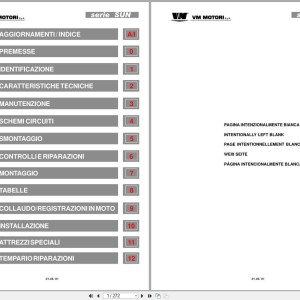 VM Motori SUN Series SUN2105 to SUN6105IE Workshop Manual IT