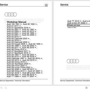 Audi TT 2015-now FV FV3 FV9 FVP FVR8S Workshop Manual