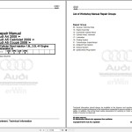 Audi A5 S5 RS5 8T3 2015 - 2017 Service Repair Manual and Wiring Diagram