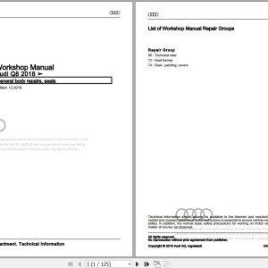 Audi Q8 2019 - 2023 4MN Workshop Manual