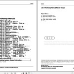 Audi R8 2015 - 2020 4S 4S3 4S9 Workshop Manual