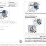 BMW G32 Service Manual and Wiring Diagrams