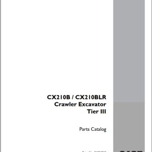 Case CX210B CX210BLB Tier3 Parts Catalog 84384823