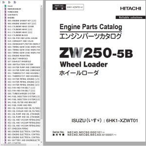 Hitachi ZW250-5B Engine Partss Catalog 6HK1-XZWT01-6