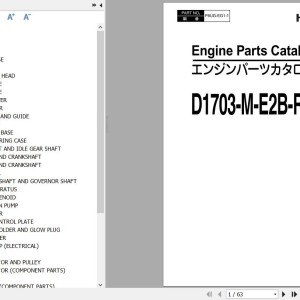 Hitachi D1703-M-E2B-RRHC-1 Engine Parts Catalog P8UG-EG1-1