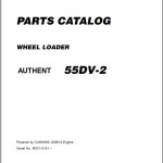 Kawasaki 55DV-2 Parts Catalog 93305-00231