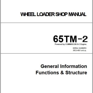 Kawasaki 65TM-2 Shop Manual General Information Functions & Structure 93207-00141(AAA-S65C3V80-012)