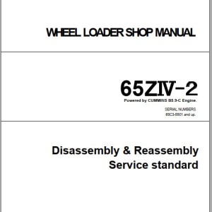 Kawasaki 65ZIV-2 Shop Manual