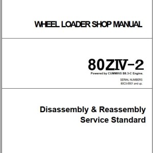Kawasaki 80ZIV-2 Shop Manual