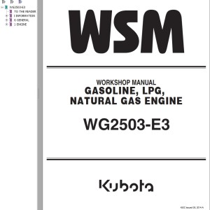 Kubota WG2503 E3 2.5L LPG Engine Workshop Manual F-1117-0521