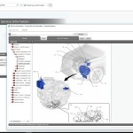 Lexus RX200T RX350 2015.09 Workshop Manual