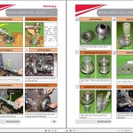 Mahindra Jivo 245 DI Service Manual