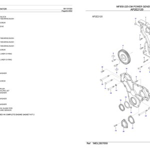Massey Ferguson MF950-225-OM Parts Catalog 891191924