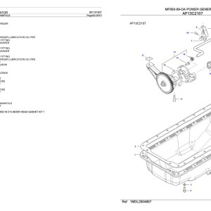 Massey Ferguson MF950-99-OA Parts Catalog 891191907