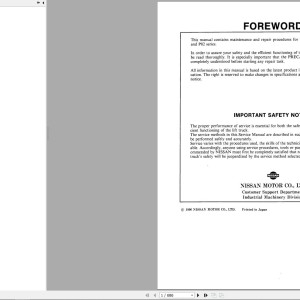 Nissan P01 P02 Service Manual SM6E-P012G0