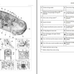 Nissan Qashqai (HJ12) 1.5 VC-T 2021 - 2024 Wiring Diagrams
