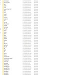 Still Steds 2024 Diagnostic Database