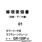 Tadano Full Crane All Model Repair Service Manual, Circuit Hydraulic Diagrams