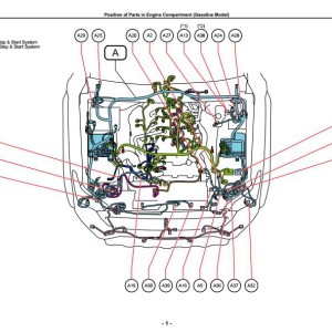 TOYOTA TACOMA 2025 T24A-FTS Wiring Diagram