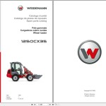 Weidemann 1250CX35 1250 Spare Parts Catalog PDF 07.2025 IT ES EN
