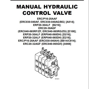 Yale D216 (ERP20-30ALF) Service Manual