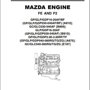Yale A875 (GDP040-050RG) Service Manual