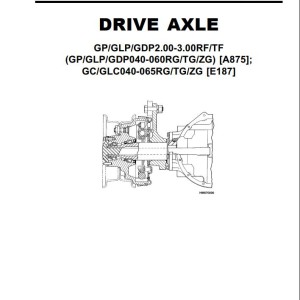 Yale A875 (GDPGLP20-30RFTF Europe) Service Manual