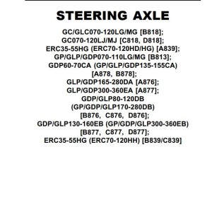 Yale A876 (GLPGDP165-280DA) Service Manual