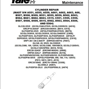 Yale B875 (GLP20-35VX, GDP20-35VX Europe) Service Manual