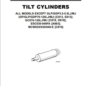 Yale B876 (GDP80-120DB Europe) Service Manual