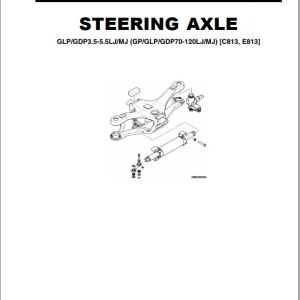 Yale C813 (GDP070-090LJ GDP100-120MJ) Service Manual
