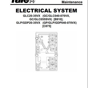 Yale C875 (GLP20-35VX. GDP20-35VX Europe) Service Manual
