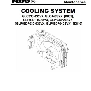 Yale D810 (GDPGLP030VX to GDPGLPS040VX) Service Manual