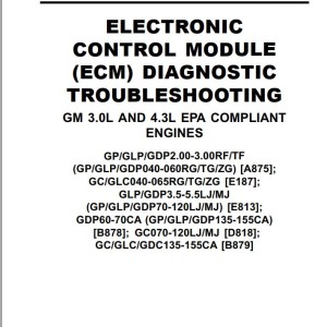 Yale E813 (GDPGLP35-40LJ, GDPGLP45-55 MJ Europe) Service Manual