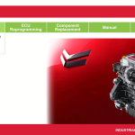 Yanmar Smart Assist V2.52 03.2026 Engine